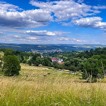Steffens Herrnmuehle 4* Alzenau in Unterfranken
